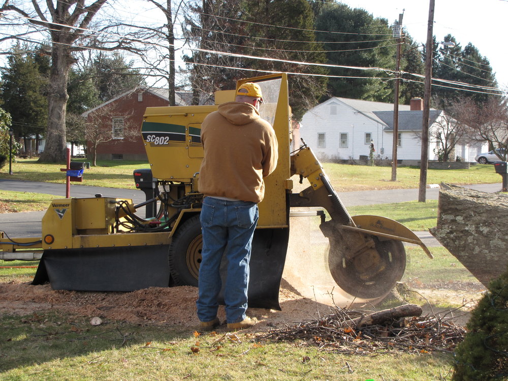 Stump Grinding CT Tree Services