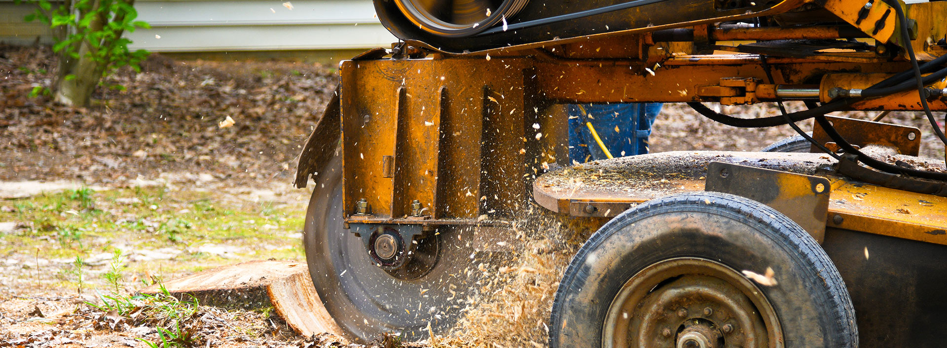 Stump Grinding Services by Arbortech Tree Services