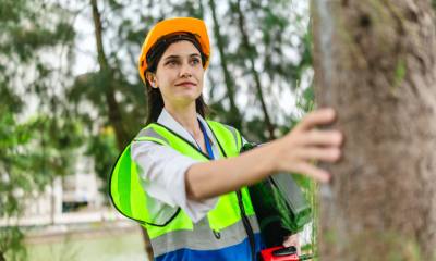Why Every Connecticut Tree Service Company Should Have a Licensed Arborist on Staff