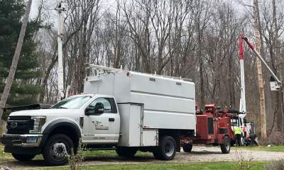 What Does Tree Removal Actually Cost in Connecticut? A Breakdown of Pricing Factors