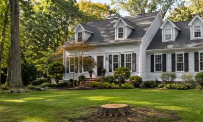 Does Removing a Tree Hurt or Help Your Property Value in Connecticut?
